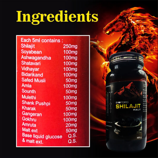 Bioford Shilajit Malt – Ayurvedic Vitality & Strength Tonic for Men and Women (Pack of 1) - Image 3