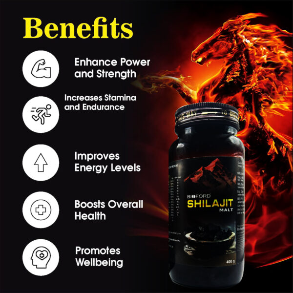 Bioford Shilajit Malt – Ayurvedic Vitality & Strength Tonic for Men and Women (Pack of 1) - Image 5