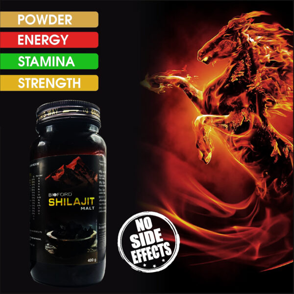 Bioford Shilajit Malt – Ayurvedic Vitality & Strength Tonic for Men and Women (Pack of 1) - Image 4